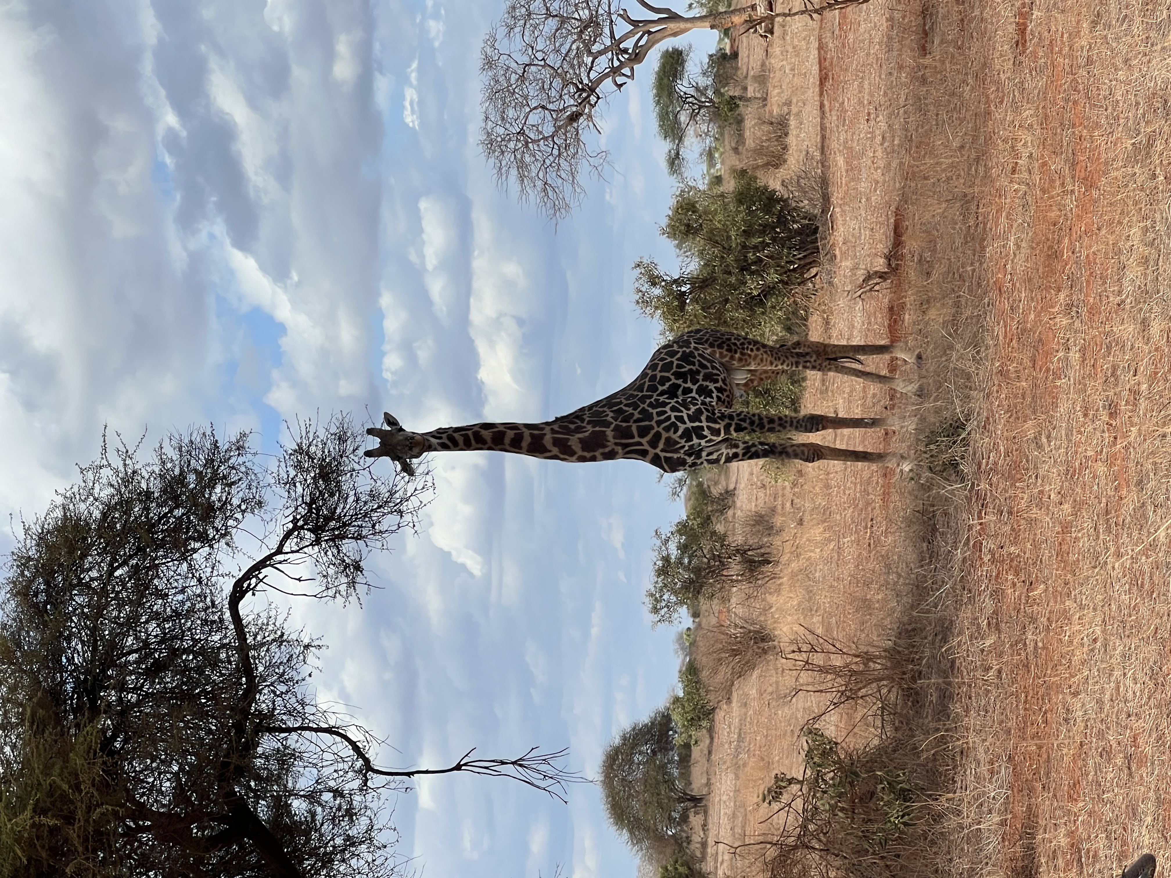 Kenia